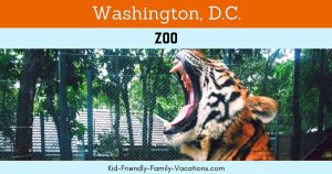 The Washington DC Zoo is the National Zoo of the United States of America. Admission is free as a part of the Smithsonian