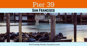 Pier 39 San Francisco is an assortment of shops and restaurants set against the San Francisco Bay. There a many fun things to do there.