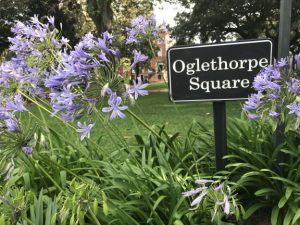 Oglethorpe Square Savannah Historic District
